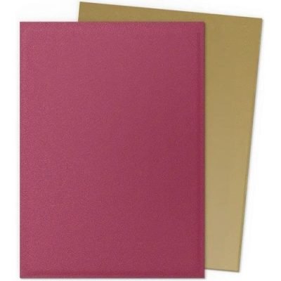 Dragon Shield - Standard Dual Matte - Anniversary Special Edition: Red & Gold — product image 3