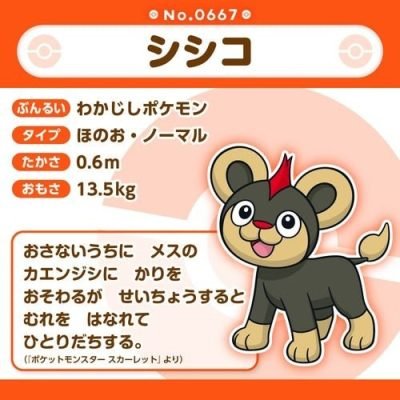 Litleo #667 - Pokémon Centre Fit Plush — product image 5